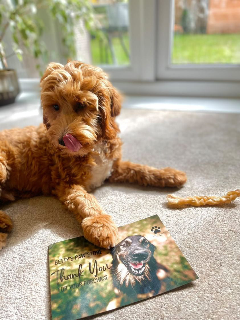 Puppy Selection Box