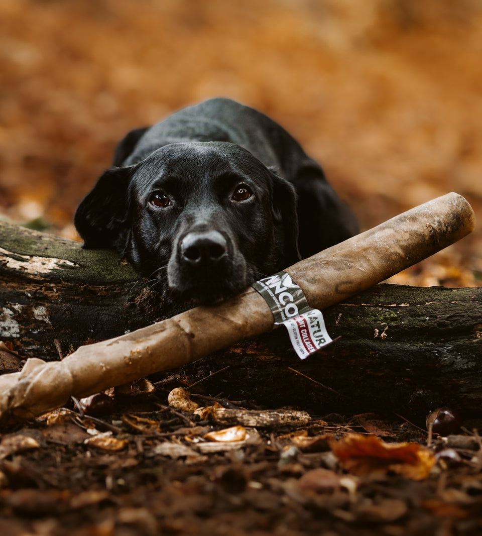 natural dog treat