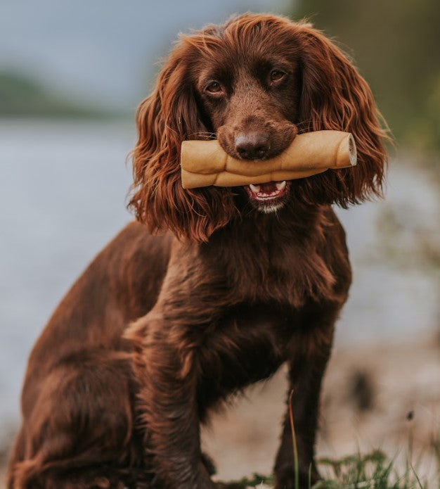 buffalo dog chew