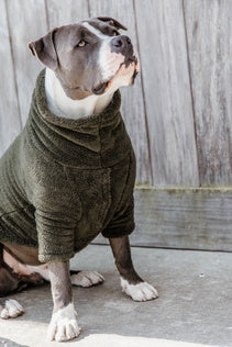 Kentucky Dog Sweater Teddy Fleece Beige