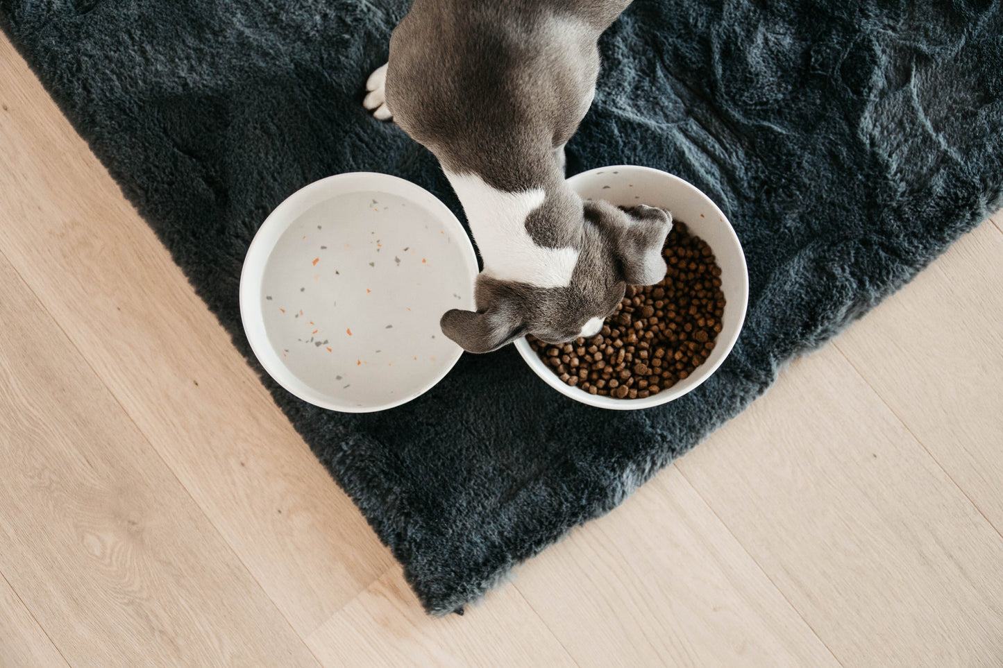 Kentucky - Dog Bowl Bamboo Terrazzo White