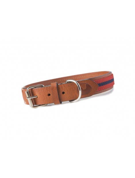 red baseball dog collar