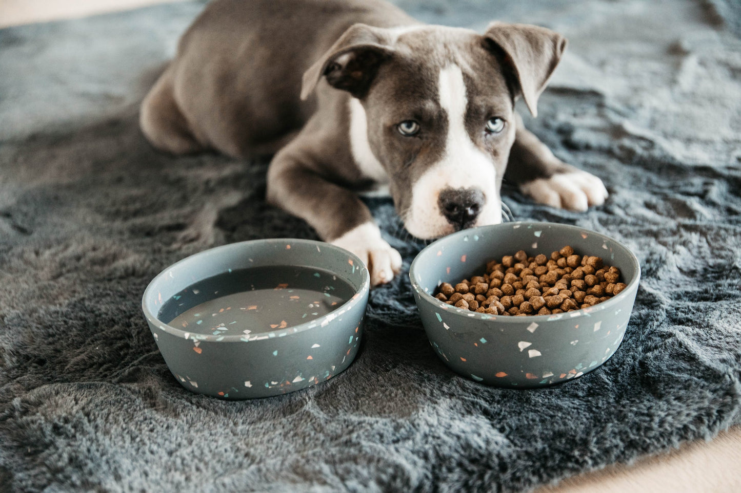 Kentucky - Dog Bowl Bamboo Terrazzo Grey