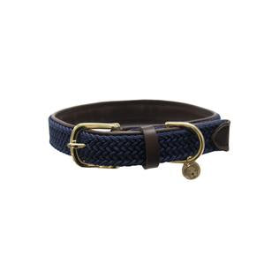 Kentucky Nylon Dog Collar